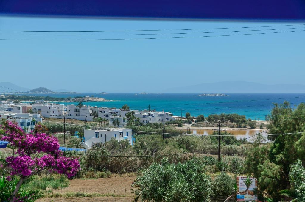 Studios Tasia Agios Prokopios  Bagian luar foto